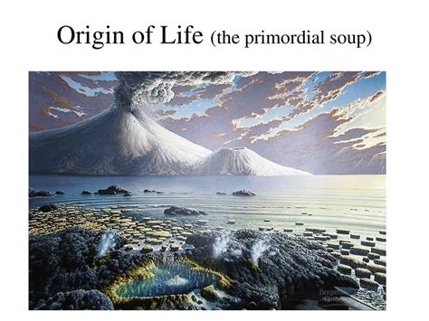 Primordial Soup's On: Scientists Repeat Evolution's Most .